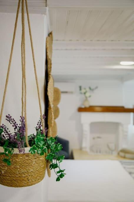Yard- Family Retreat Apartman Corinth Kültér fotó